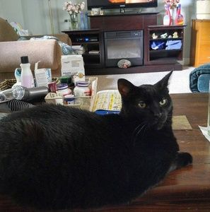 Meet your Posher, Barbara